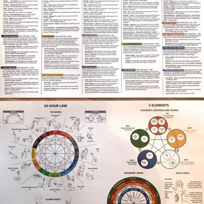Touch For Health Chinese 5 Element Metaphors Chart