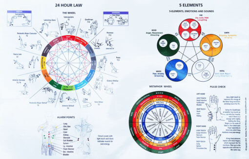 Touch For Health Chinese 5 Element Metaphors Chart - Image 2