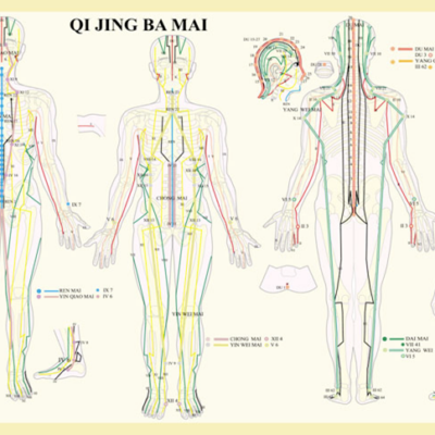 8 Extra Meridians Wall Chart