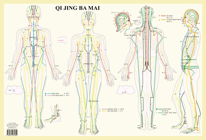 8 Extra Meridians Wall Chart