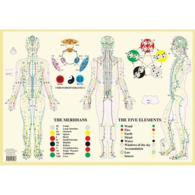 Meridians & the Five Elements Chart