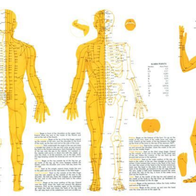 Touch for Health Acupuncture Chart